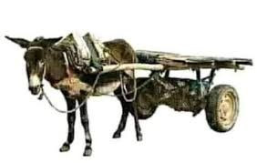 بيكلو عليها ,ومنها عيش (2).jpg