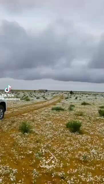 tiBMcqtsvQNRv0tz.jpg