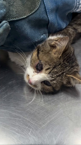 Zi VhC6UpQdUYw9Q.jpg