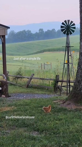 ndhY41tNuPtXLta7.jpg