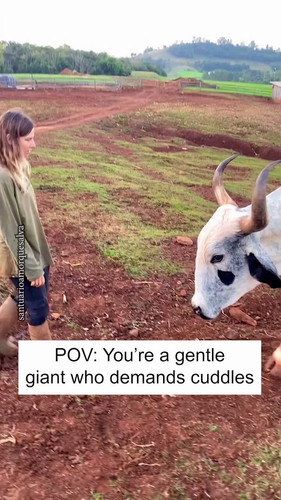 L a8AdEcQ2Hpwooq.jpg