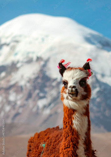 1000 F 475490384 Udo9afITB3nJKe4ogShUBGhrZYXAGnsu.jpg