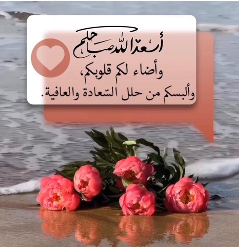 GwBpu5PXUAAwi A.jpg