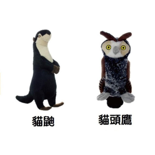 螢幕擷取畫面 2025 07 17 204419.jpg