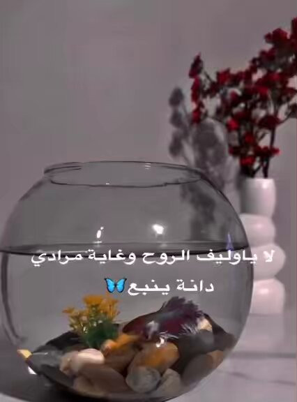 IUEzfHrBVvspSbTa.jpg
