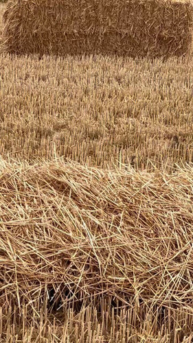 l7TZ Z9Skt9LE7d4.jpg