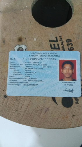 7f3d6685 bd52 4954 bccd cb374ea0456a.jpg