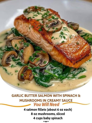 515925568 122115179414904004 1291539525259249723 n.jpg?stp=dst jpg s960x960 tt6& nc cat=106&ccb=1 7&.jpg