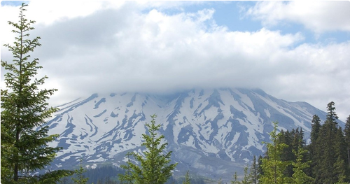 Mount St. Helens guided tours.png