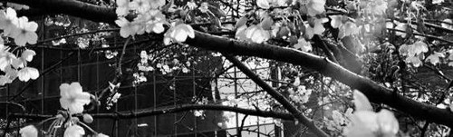file 9707.jpg