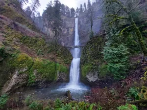 Tour Guide Multnomah Falls.png