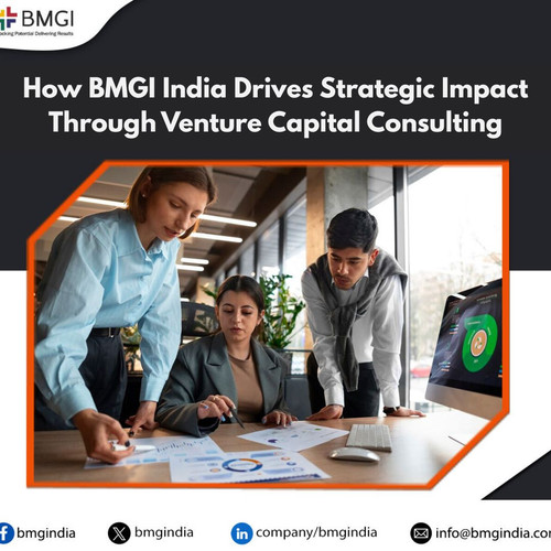 How BMGI India Drives Strategic Impact Through Venture Capital Consulting.jpg