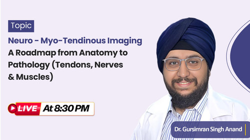 WhatsApp Image 2025 07 18 at 12.15.20 PM (2).jpg