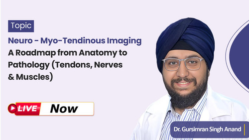 WhatsApp Image 2025 07 18 at 12.15.20 PM (1).jpg