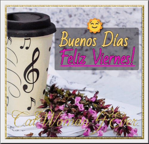 175281989711003729 (3).gif