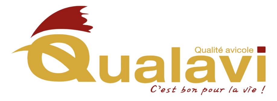 Qualavi