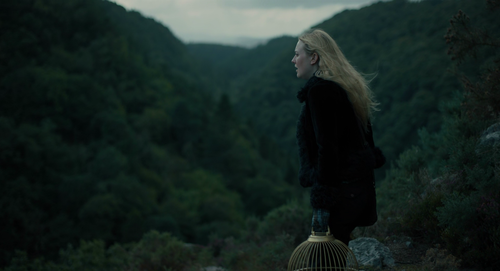 vlcsnap 2025 07 18 14h01m27s337