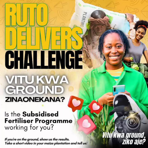 N0obVAU4demgO Gy.jpg