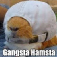 79307585.7 New Project2 ezgif.com resize.png