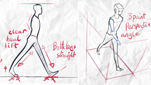 walk angle orig.jpg