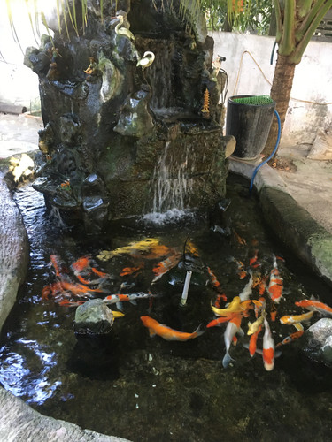 DF8F89CF EC5F 4123 B65B 7B99321CD96B.jpg