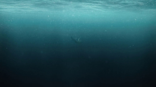 DoYXLAhblbGM8R.jpg