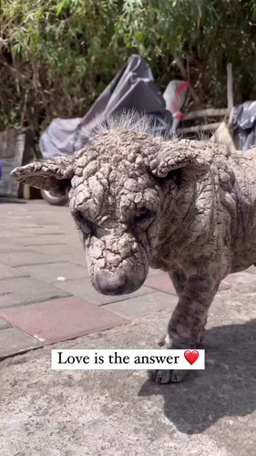 eeUQ0j jazkm4kPG.jpg