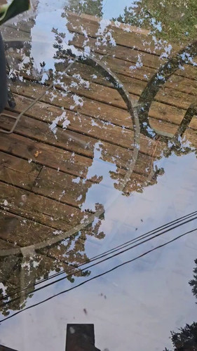 2niA TZDVDFr7qz6.jpg