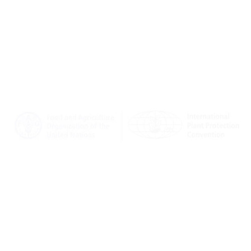 3DcvhT1PQkuvCXWL.jpg
