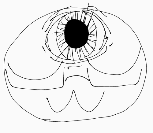 Screenshot 2025 07 17 8.30.29 AM.png