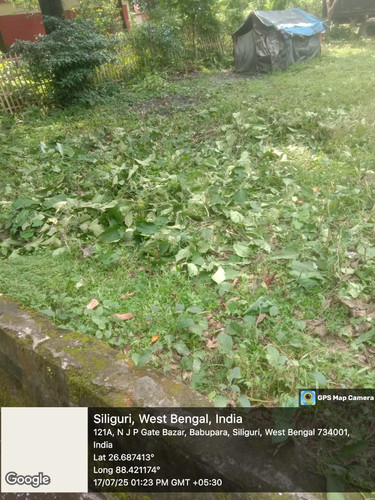32 2.jpg