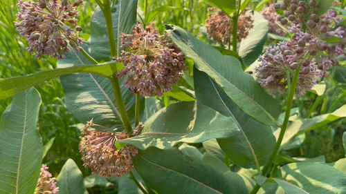 ywRjgaqrg R92qzq.jpg