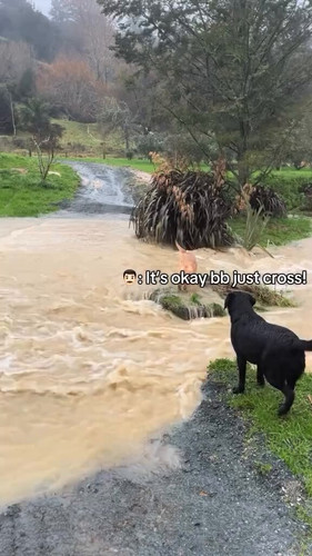 aPDDx5NmrW0HbDZC.jpg