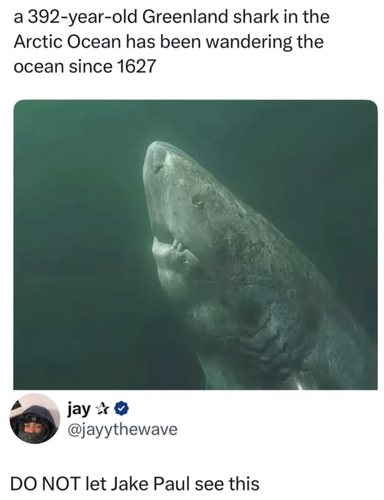 Screenshot 2025 07 18 at 10.58.52 AM.png