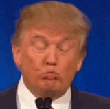 giphy2 ezgif.com resize.gif