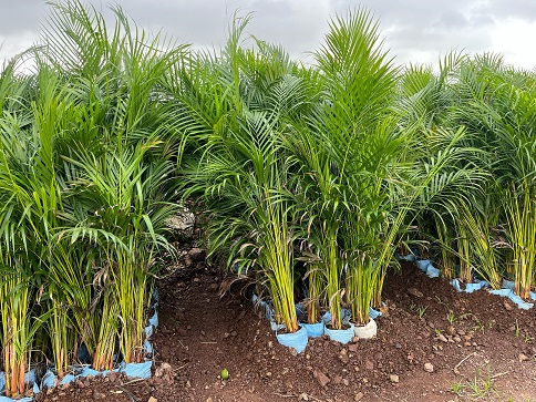 best nursery school in rajkot​.jpg