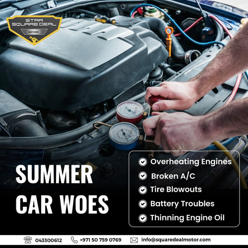 442442861 970377138125003 1447650800748617330 n.jpg