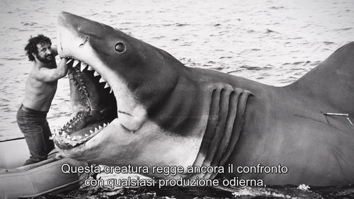 vlcsnap 2025 07 18 01h00m27s085