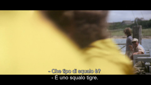 vlcsnap 2025 07 18 01h00m49s773