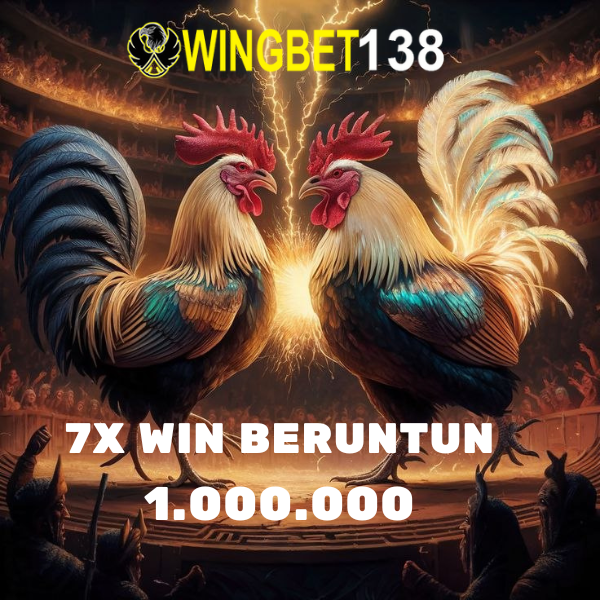 WINGBET138 : Link SV388 Situs Sabung Ayam Online Wala Meron Adu Ayam SV388 Paling Seru Kali