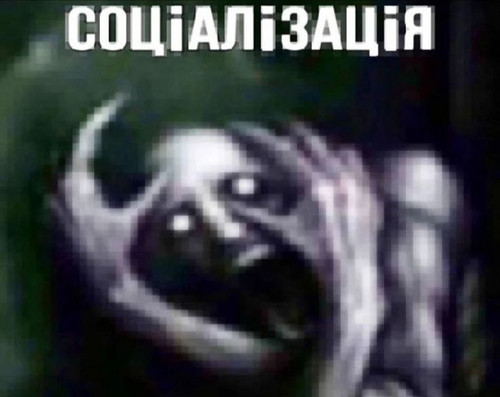 file 9817.jpg