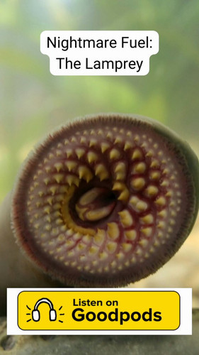 w ybMr1ihP32FHOT.jpg