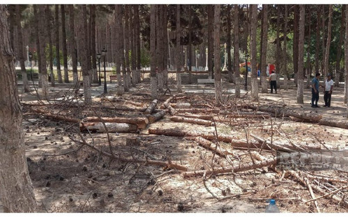 ZrjvYVljU0qflYEr2YQxKOwUYgzQci7vfzdb8KHXrT8z7lsAfjIqfz9SHj7KcCAqOttCGt30rEKUFh7kigUO 7WcHRvU6DKRjOgN.jpg