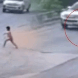 merged (9).gif