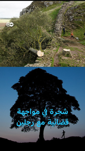 GwDq2LBWwAAV1Ga.jpg