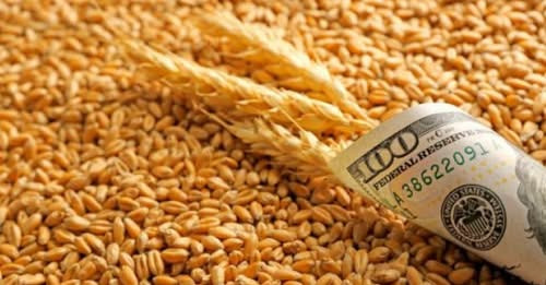 352727960635070959?url=https%3A%2F%2Fmoderator.az%2Ffile%2Farticles%2F2025%2F07%2F18%2F1752834777 sn.jpg