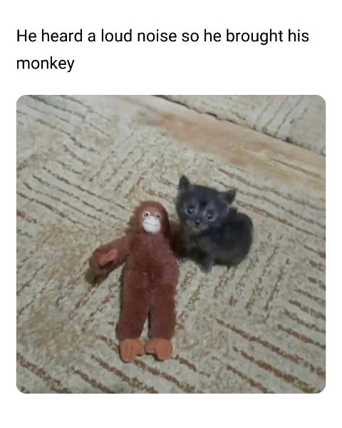 518352377 677062952037207 1834627548610859929 n (1).jpg