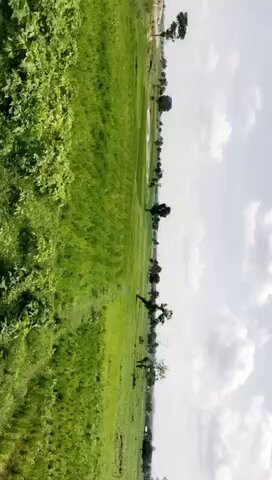 WCLr 5j1er6lmMX2.jpg