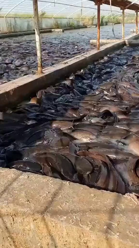 pchVLkl2KQw JqI0.jpg