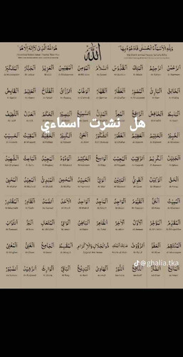 7CD81690 D878 4447 BBA6 B0A30B596511.jpg